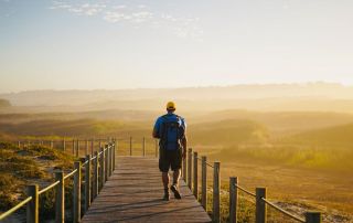 Finding Solitude On The Camino Best Times And Places For Peaceful Walking