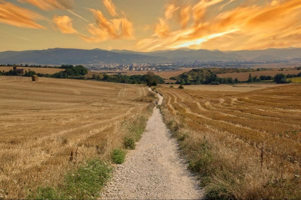 Seasonal Changes On The Camino What To Expect Each Month