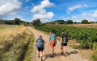 When To Walk The Camino Irish Bank Holiday 2024