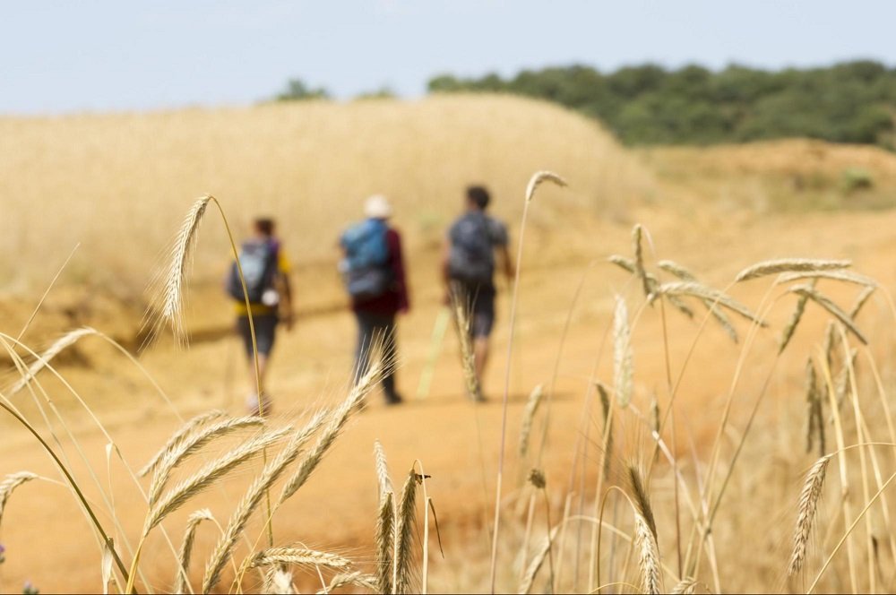 Physical Preparation for the Camino - A Comprehensive Fitness Guide