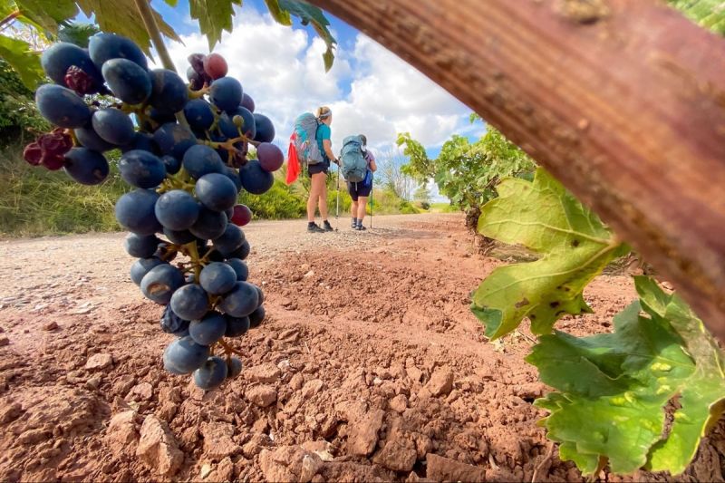 Camino de Santiago - A Journey Through History and Culture