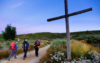 Camino de Santiago - A Journey Through History and Culture