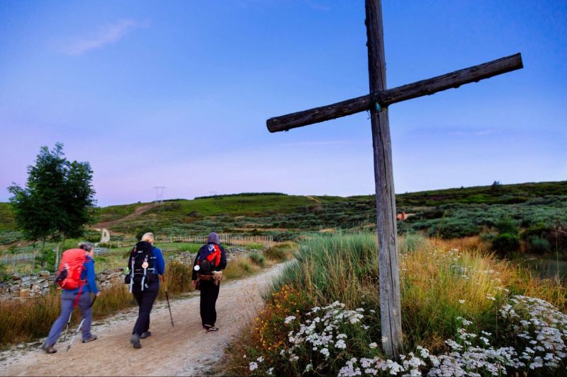 Camino de Santiago - A Journey Through History and Culture