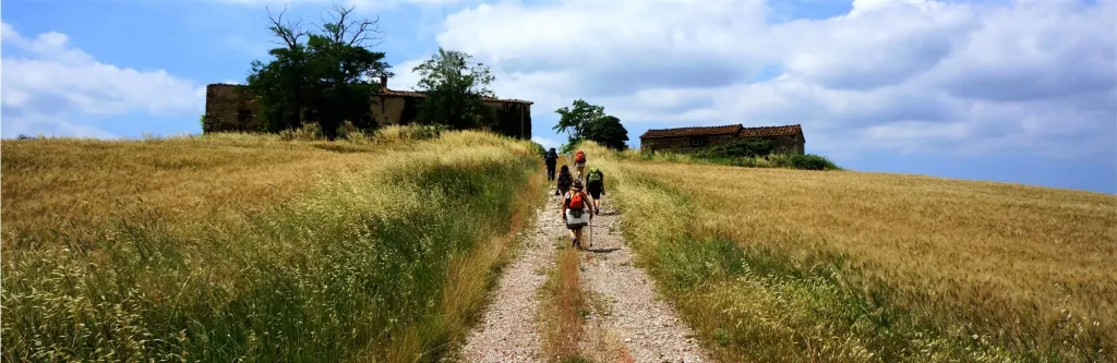 1522067043 Banner 2 Best Of Via Francigena.jpg 2000x650