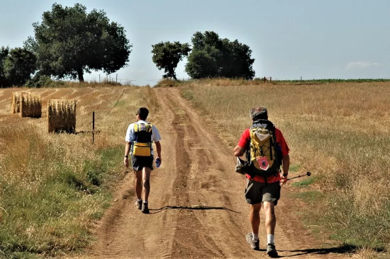 1526293983 Walking From Vetralla To Sutri.jpg 767x509