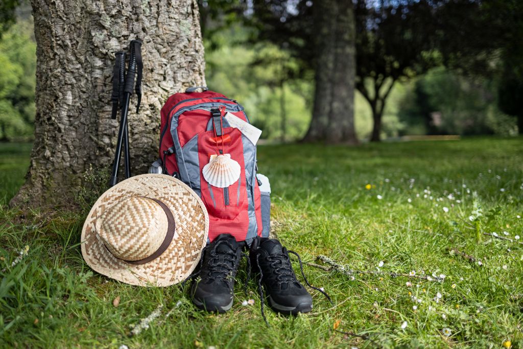 https://uwalk.ie/wp-content/uploads/2026/09/shutterstock_2461431735-scaled.jpg